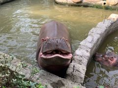 -宁波野生动物园