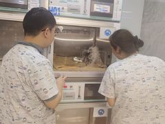 -北京派仕佳德动物医院·超导核磁·CT·神经科·骨科·内外科·急重症管理中心
