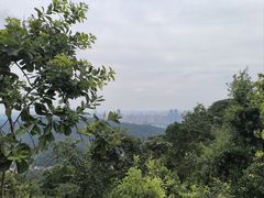 -岳麓山风景名胜区