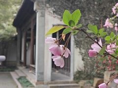 -惠山古镇·寄畅园