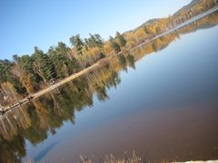 景点-五营红松林海景区