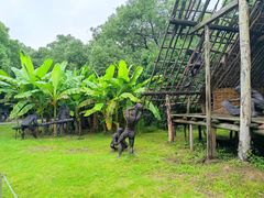 -河姆渡遗址博物馆