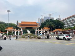 -深圳仙湖植物园
