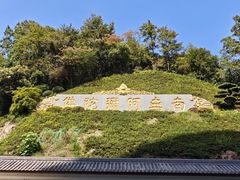 -庐山风景名胜区-东林大佛