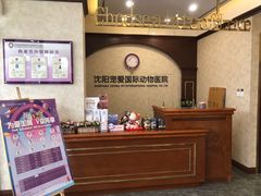 -宠爱国际动物医院· 猫科· 外科·中兽医(长白店)