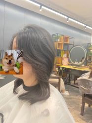 -藤野造型