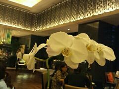 -武汉武昌威斯汀酒店-知味自助餐厅