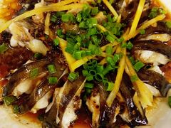 海鳗鱼-叶姐海鲜(棋子湾店)