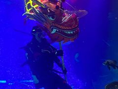 -沈阳海洋探索中心