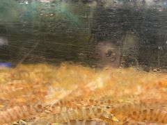 -龙宴海鲜城(经中路店)