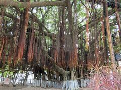 -胡里山炮台