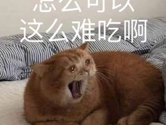 -永盈茶餐厅(中山四路店)