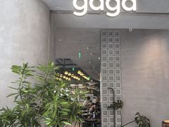 -gaga(北京新中关购物中心店)