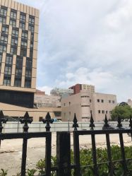 -上海交通大学医学院附属上海儿童医学中心(陆家嘴总院区)