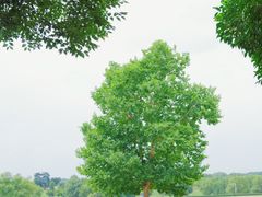 -钟山体育运动公园
