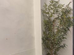 -耳艺采耳·足疗(市桥店)