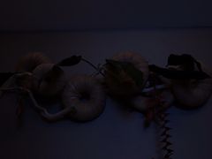 -和子足浴SPA会馆(梁溪店)
