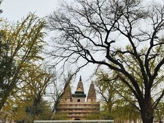 -北京石刻艺术博物馆(五塔寺)