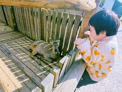 -乌村