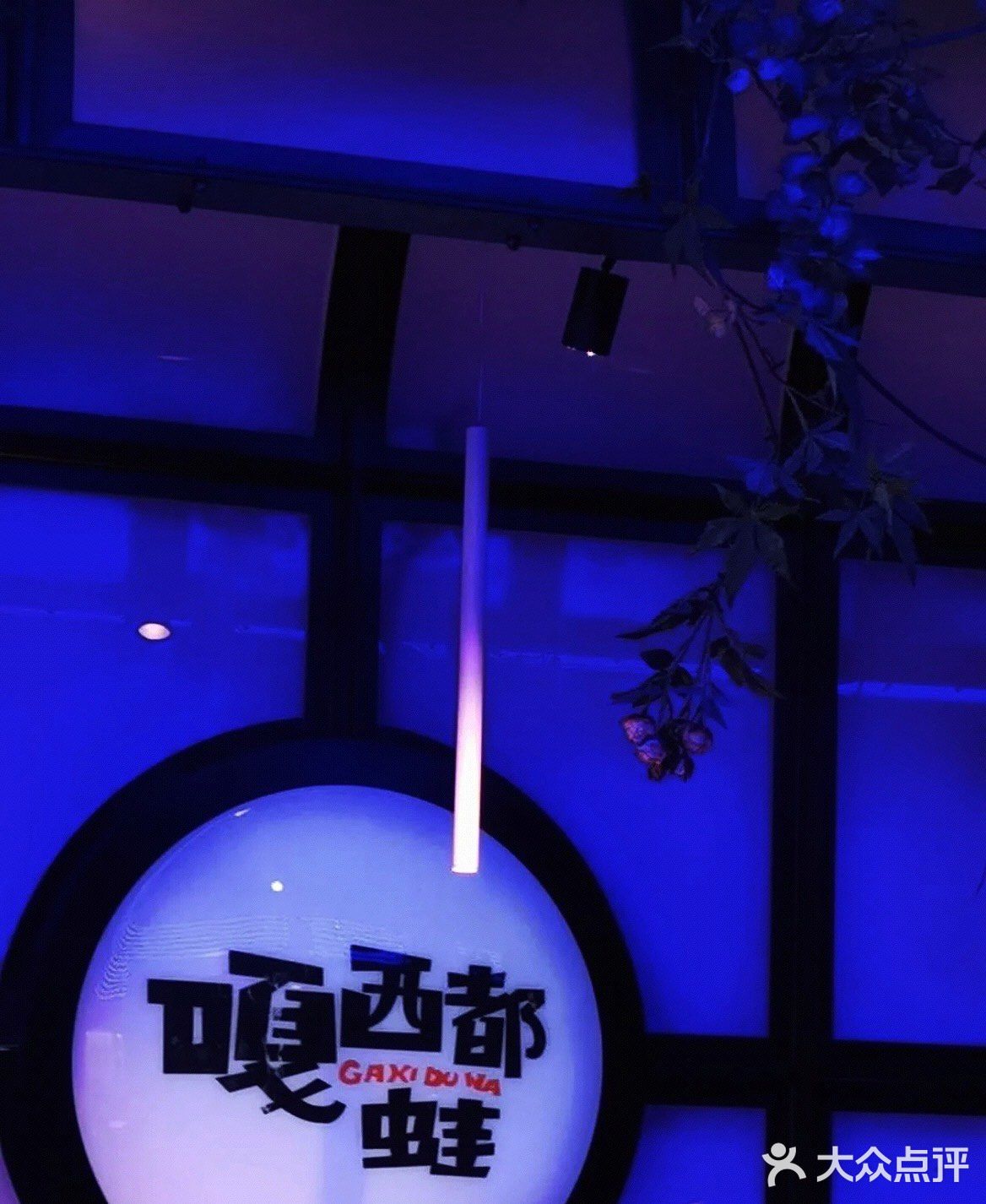 舌尖上的牛蛙🤪