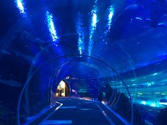 -成都浩海立方海洋公园