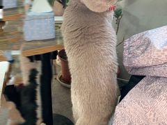 -小时光咖啡馆(北锣鼓巷店)