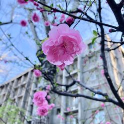 -姜美堂·蒸姜除湿の纤体美颜馆