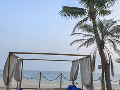 -精酿农场Brew Farm·沙漠绿洲餐厅