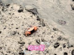 -北海金海湾红树林生态旅游区