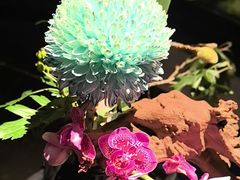 -曲水兰亭(北京四惠店)