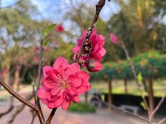 -桃花涧