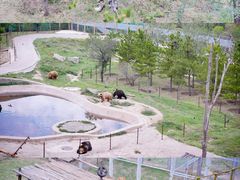 -青藏高原野生动物园