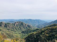 -大岭沟猕猴桃谷风景区