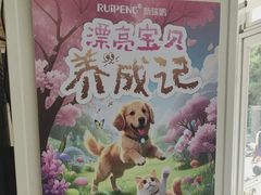 -美联众合爱康动物医院•复杂内科•肿瘤科•牙科•腔镜诊疗中心