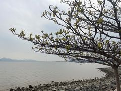 -深圳湾公园(南山区)