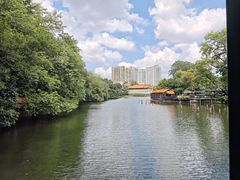 -侨美·唐荔园·40年地道粤菜