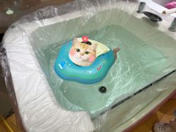 -爱玩爱游亲子母婴(旭辉广场店)