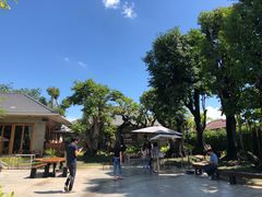 -Chom Cafe and Restaurant