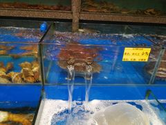 -拉完海鲜大排档(温岭店)