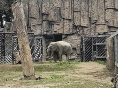 -成都动物园