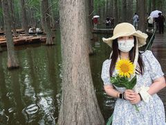 -渌洋湖湿地公园