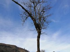 -硗碛藏寨·神木垒景区