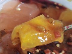 -四川农业大学(雅安校区)