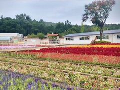 -昆明春城湖畔度假村