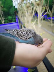 -未来动物城主题公园(正弘城店)