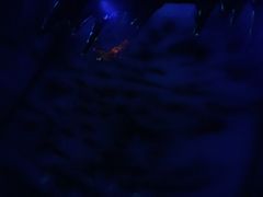 -MOJO密室逃脱(中街旗舰店)