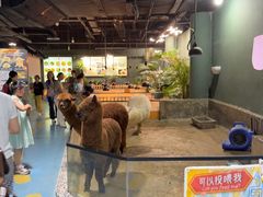 -上海大自然野生昆虫馆(东方明珠·爬宠昆虫探索中心)