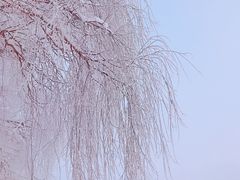 -雾凇岛