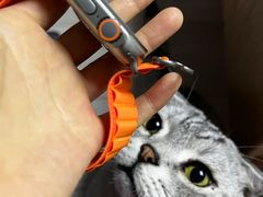 -Apple零售店(新街口店)