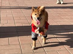 -小意思咖啡店(草桥店)